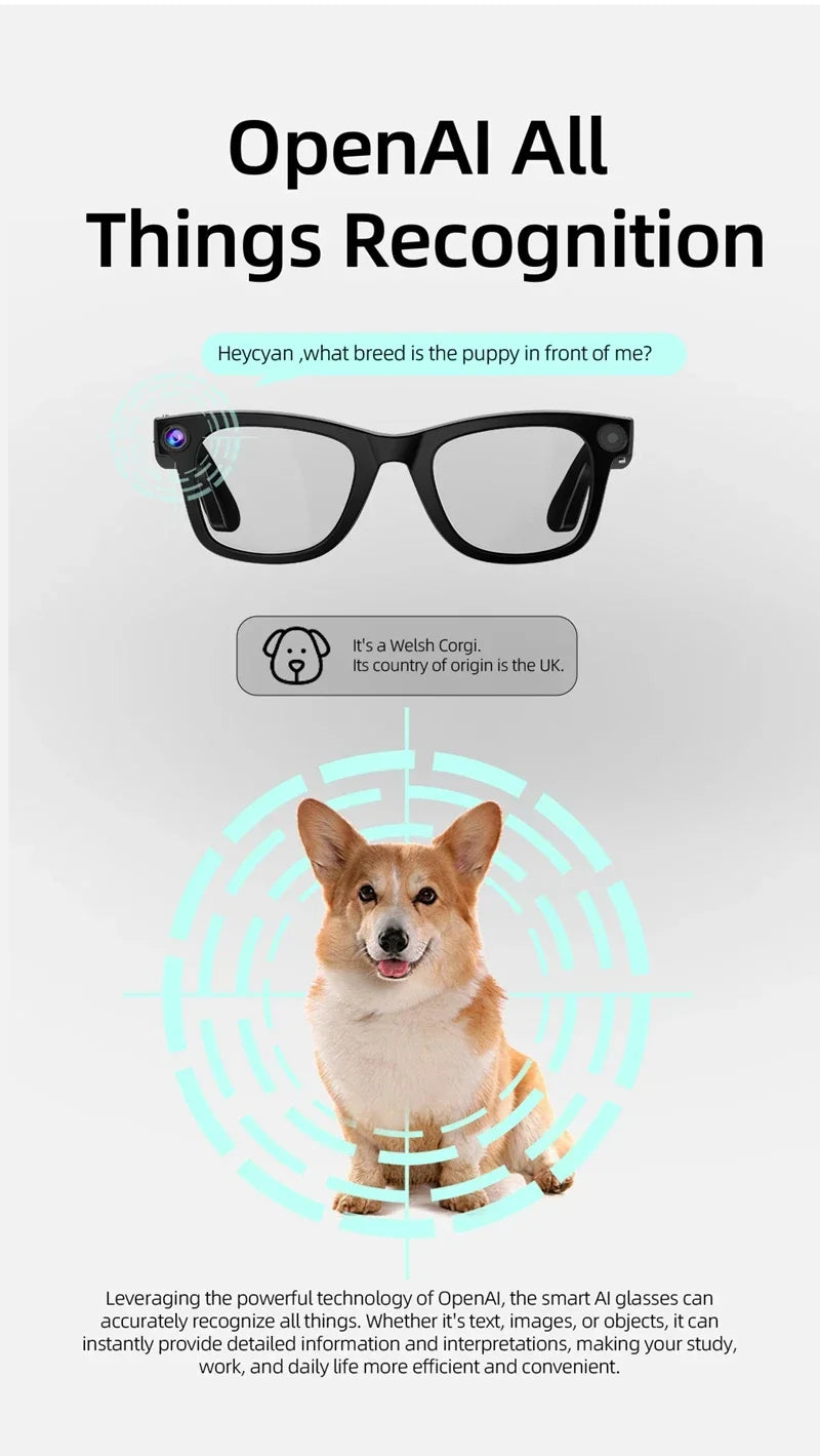 800W Pixel Intelligent Glasses AI G300 HD Shooting Video Voice Call Translation Multifunction Anti-blue Light Smart Glass