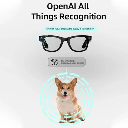 800W Pixel Intelligent Glasses AI G300 HD Shooting Video Voice Call Translation Multifunction Anti-blue Light Smart Glass